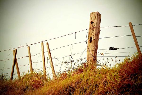 xc sports 签约新品牌合作